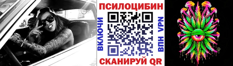 KRAKEN ССЫЛКА  Ялуторовск  Галлюциногенные грибы Magic Shrooms 