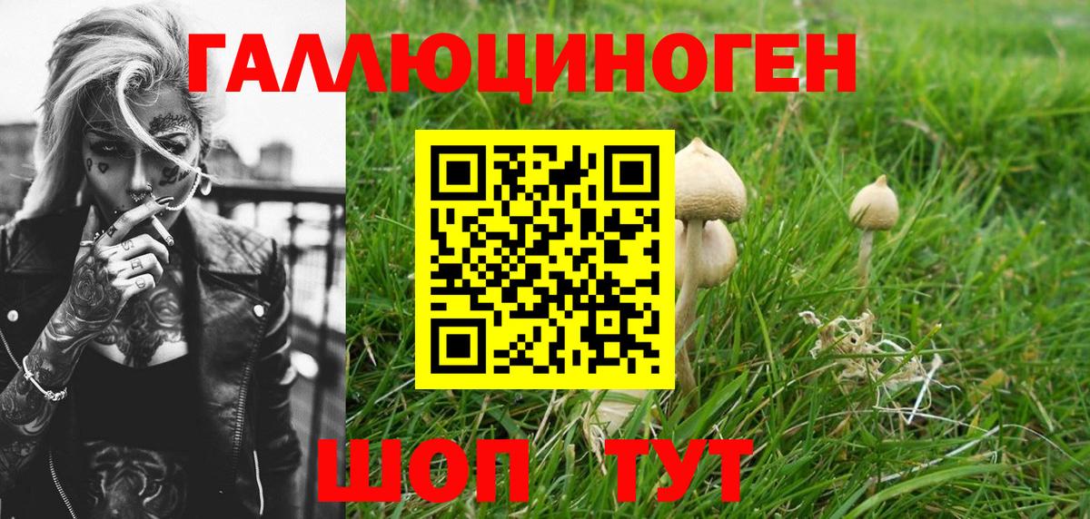 Псилоцибиновые грибы MAGIC MUSHROOMS  Вход с VPN  Ялуторовск 